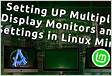 Mint running multi-monitor RDP sessions rlinuxmint